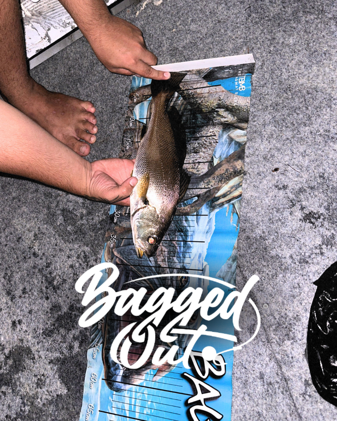 BAGGED OUT BRAG MAT